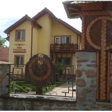 Pensiunea Pentru Tine Prietene Arcani Ruang foto
