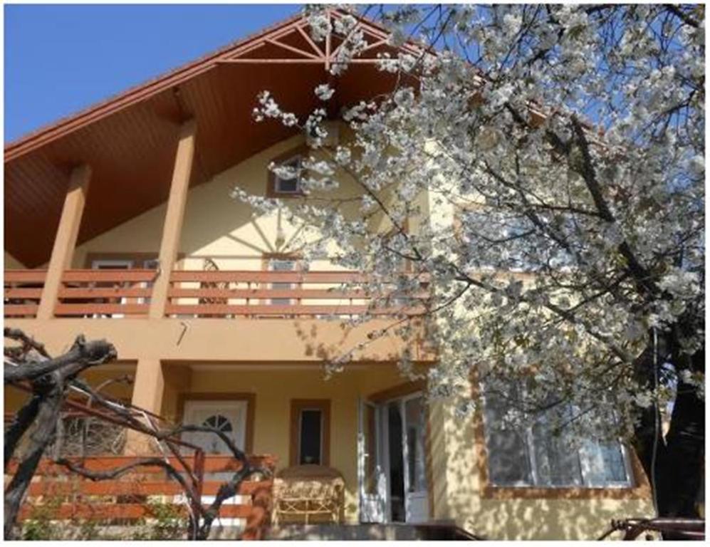 Pensiunea Pentru Tine Prietene Arcani Ruang foto