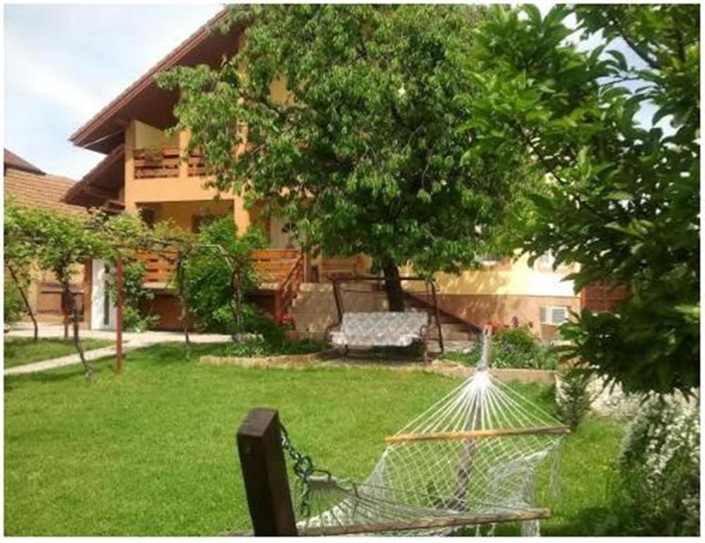 Pensiunea Pentru Tine Prietene Arcani Ruang foto