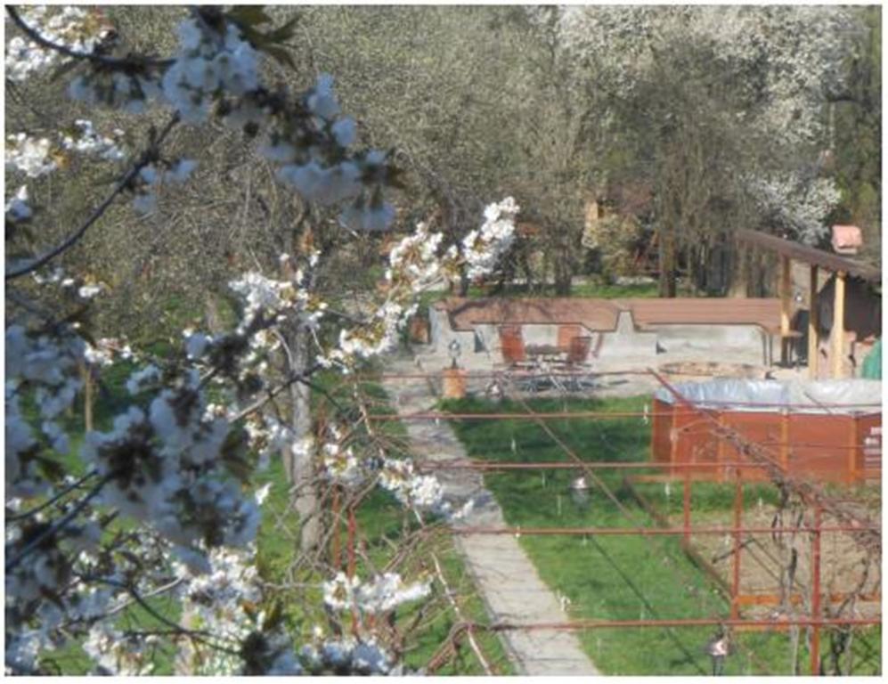 Pensiunea Pentru Tine Prietene Arcani Ruang foto